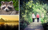Winners Selected for Crosswinds Marsh 20th Anniversary Photo Contest